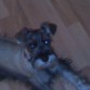 mi muñeka posando para la camara
